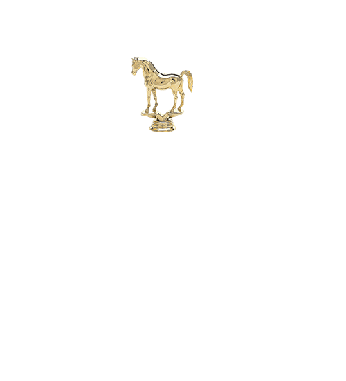 Horse, Arabian